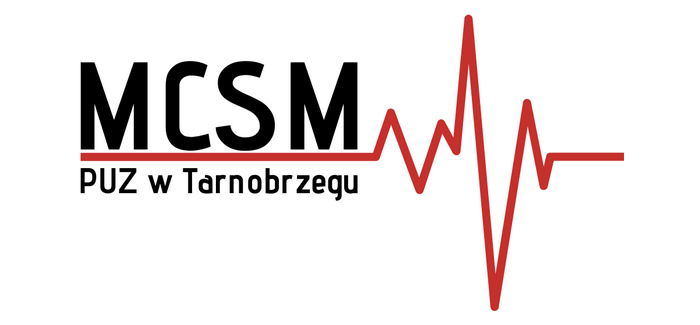 logo mcsm